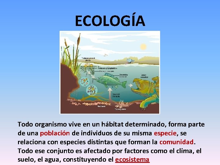 ECOLOGÍA Todo organismo vive en un hábitat determinado, forma parte de una población de