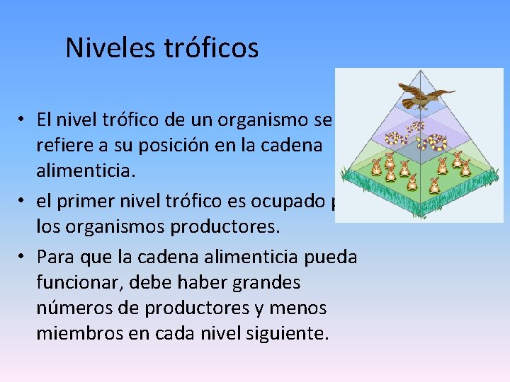 Niveles tróficos • El nivel trófico de un organismo se refiere a su posición