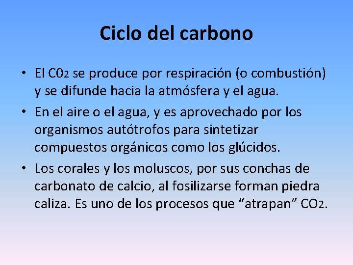 Ciclo del carbono • El C 02 se produce por respiración (o combustión) y