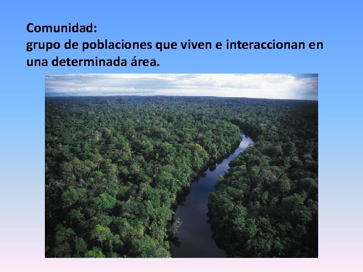 Comunidad: grupo de poblaciones que viven e interaccionan en una determinada área. 