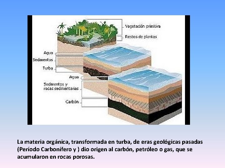 La materia orgánica, transformada en turba, de eras geológicas pasadas (Período Carbonífero y )