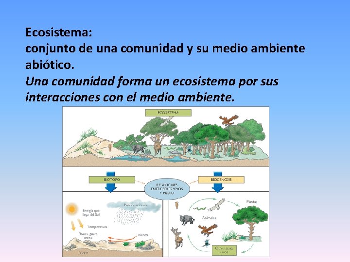 Ecosistema: conjunto de una comunidad y su medio ambiente abiótico. Una comunidad forma un