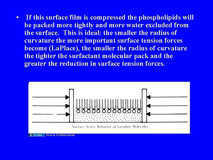  • If this surface film is compressed the phospholipids will be packed more