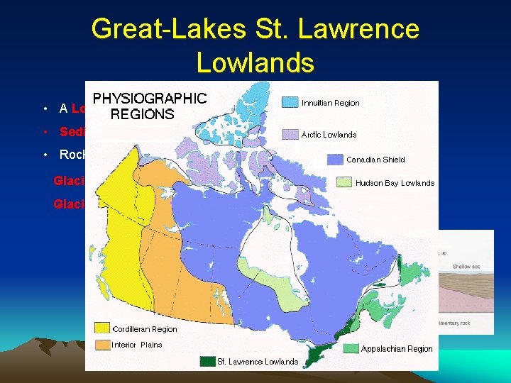 Great-Lakes St. Lawrence Lowlands • A Low Lying Area • Sedimentary Rock which eroded