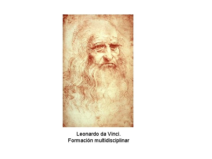 Leonardo da Vinci. Formación multidisciplinar 