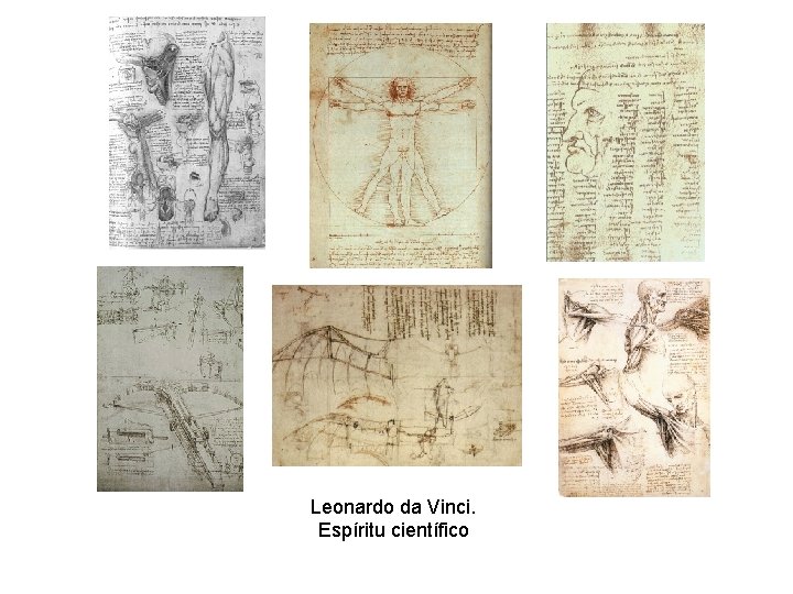 Leonardo da Vinci. Espíritu científico 