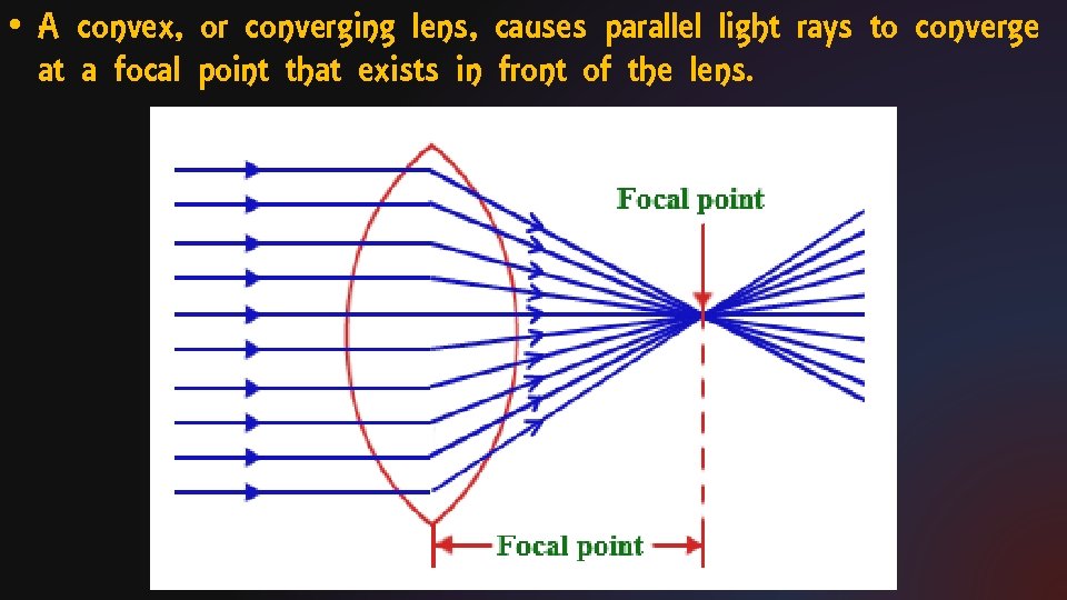  • A convex, or converging lens, causes parallel light rays to converge at