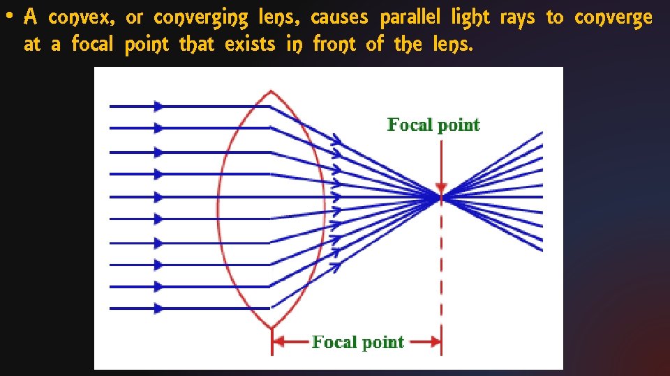  • A convex, or converging lens, causes parallel light rays to converge at