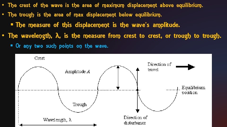  • The crest of the wave is the area of maximum displacement above