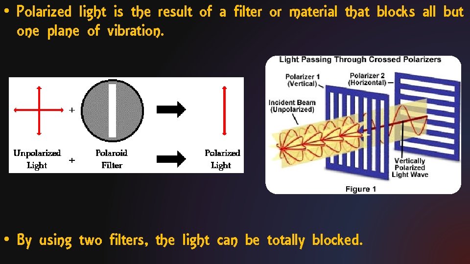  • Polarized light is the result of a filter or material that blocks