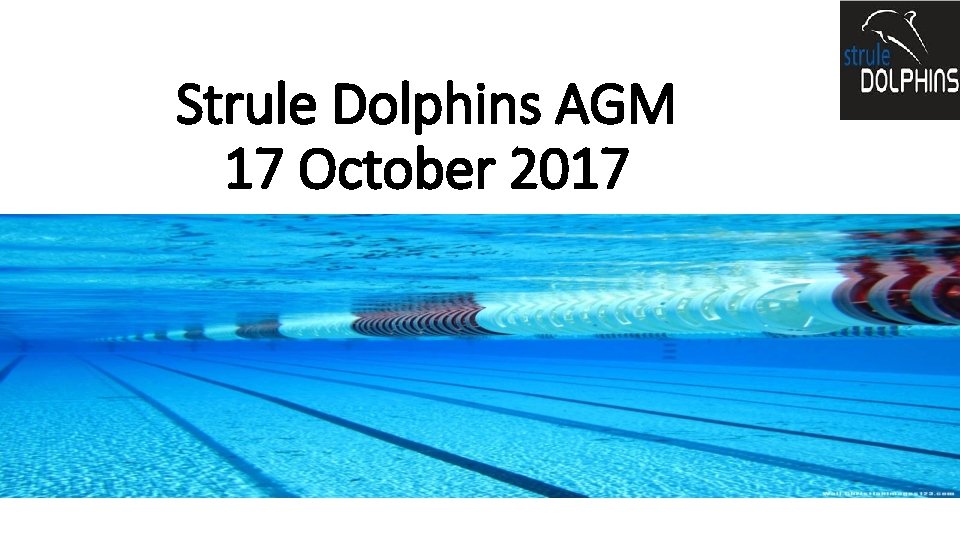 Strule Dolphins AGM 17 October 2017 