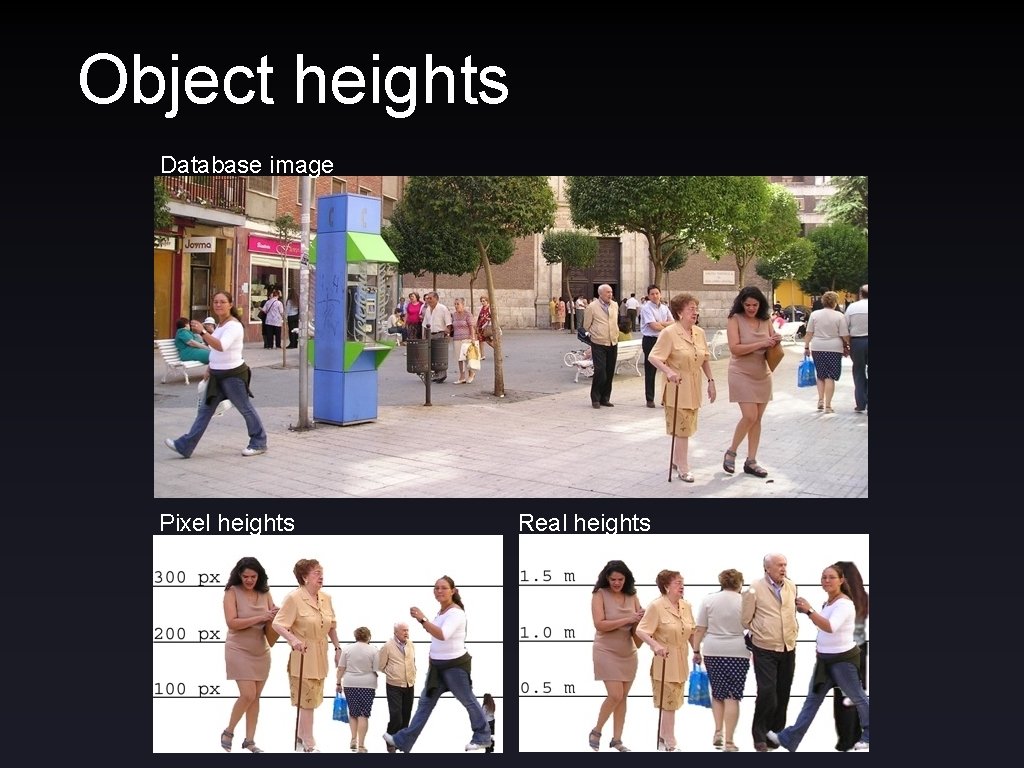 Object heights Database image Pixel heights Real heights 