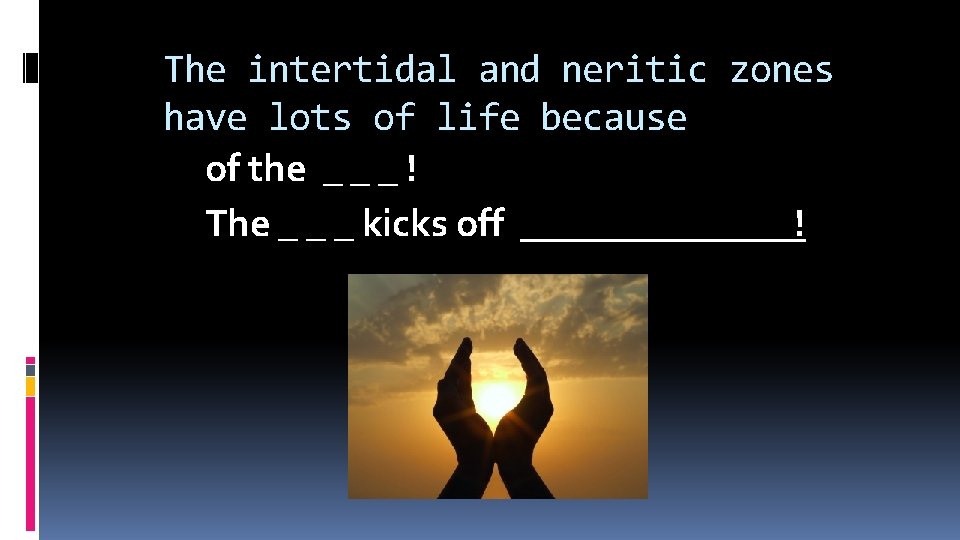 The intertidal and neritic zones have lots of life because of the _ _