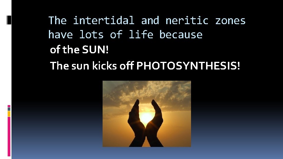 The intertidal and neritic zones have lots of life because of the SUN! The