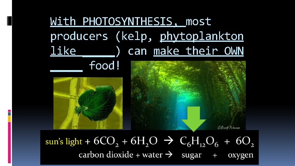 With PHOTOSYNTHESIS, most producers (kelp, phytoplankton like _____) can make their OWN _____ food!