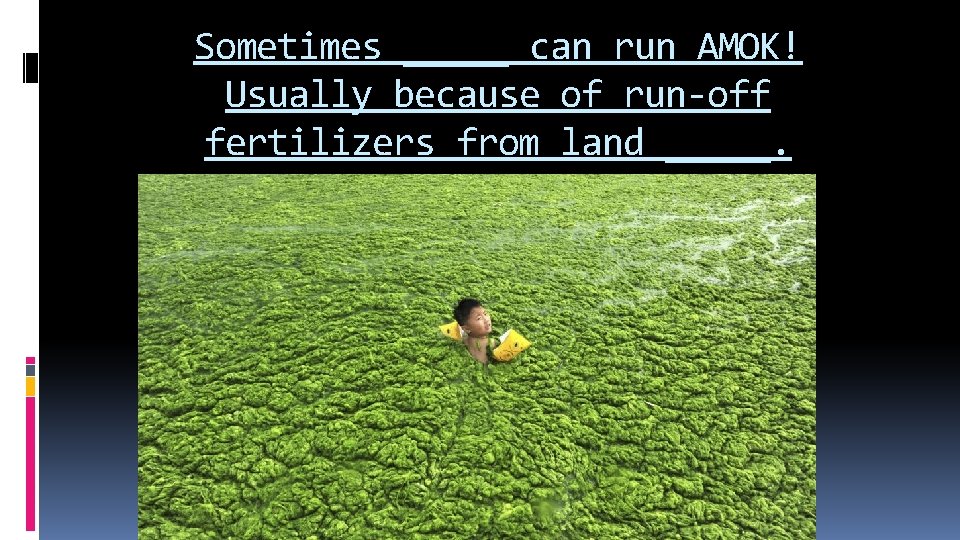 Sometimes _____ can run AMOK! Usually because of run-off fertilizers from land _____. 