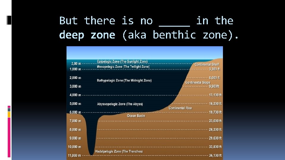 But there is no _____ in the deep zone (aka benthic zone). 
