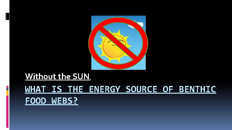 Without the SUN, WHAT IS THE ENERGY SOURCE OF BENTHIC FOOD WEBS? 