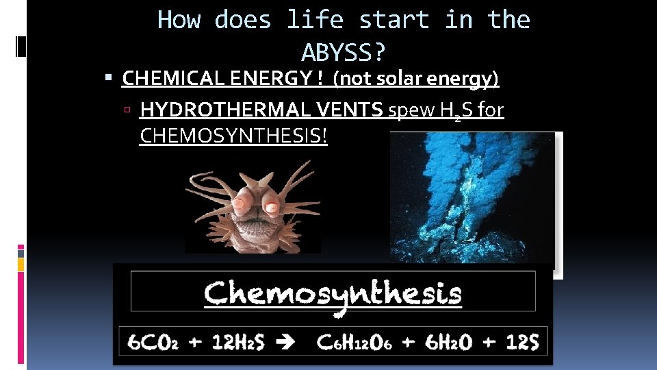 How does life start in the ABYSS? CHEMICAL ENERGY ! (not solar energy) HYDROTHERMAL