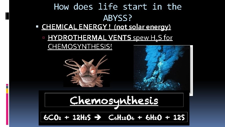 How does life start in the ABYSS? CHEMICAL ENERGY ! (not solar energy) HYDROTHERMAL