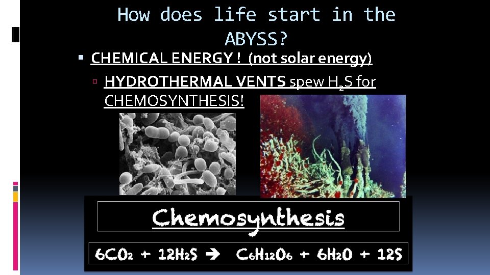 How does life start in the ABYSS? CHEMICAL ENERGY ! (not solar energy) HYDROTHERMAL
