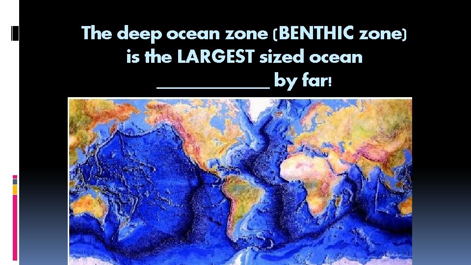 The deep ocean zone (BENTHIC zone) is the LARGEST sized ocean ______ by far!