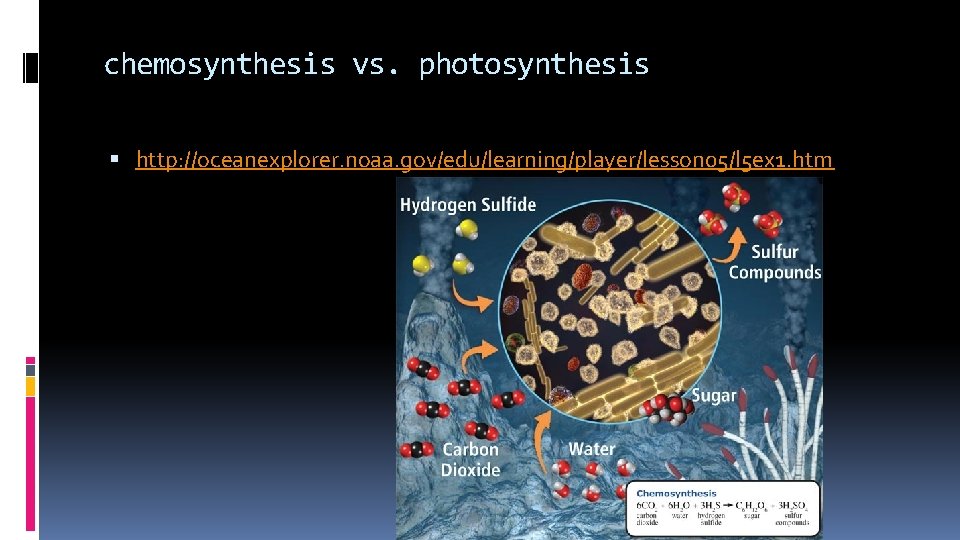 chemosynthesis vs. photosynthesis http: //oceanexplorer. noaa. gov/edu/learning/player/lesson 05/l 5 ex 1. htm 