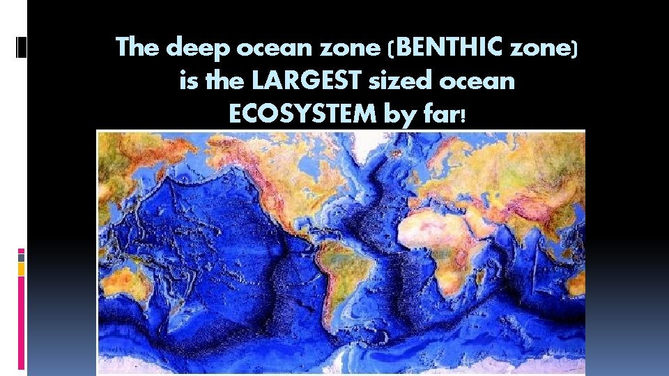 The deep ocean zone (BENTHIC zone) is the LARGEST sized ocean ECOSYSTEM by far!