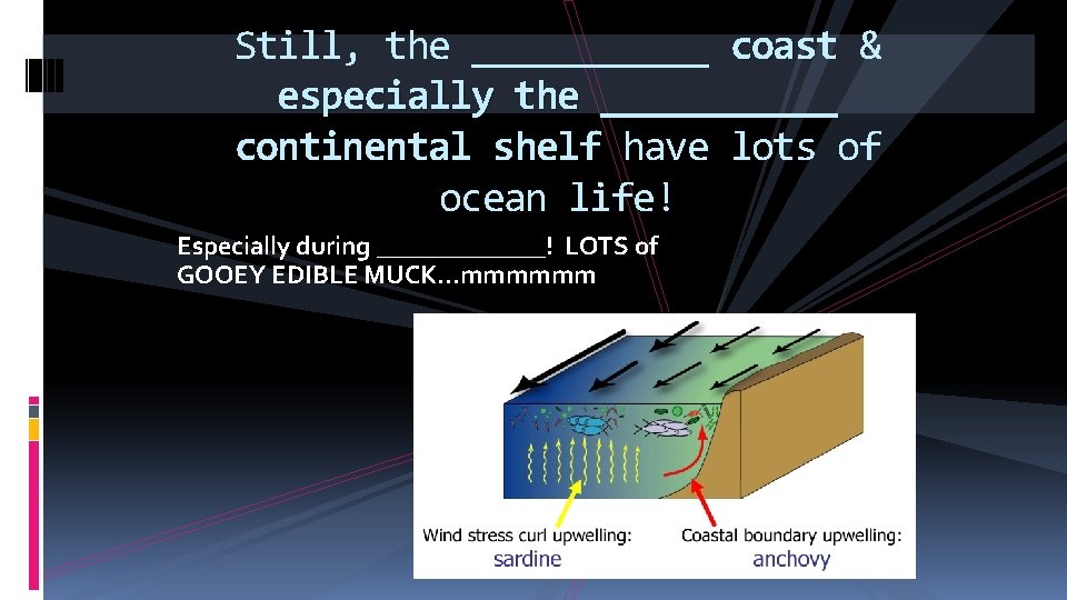 Still, the ______ coast & especially the ______ continental shelf have lots of ocean