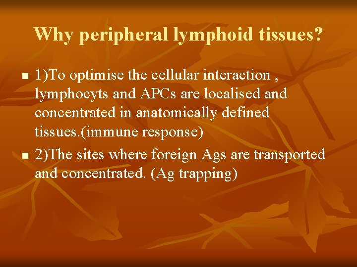 Why peripheral lymphoid tissues? n n 1)To optimise the cellular interaction , lymphocyts and