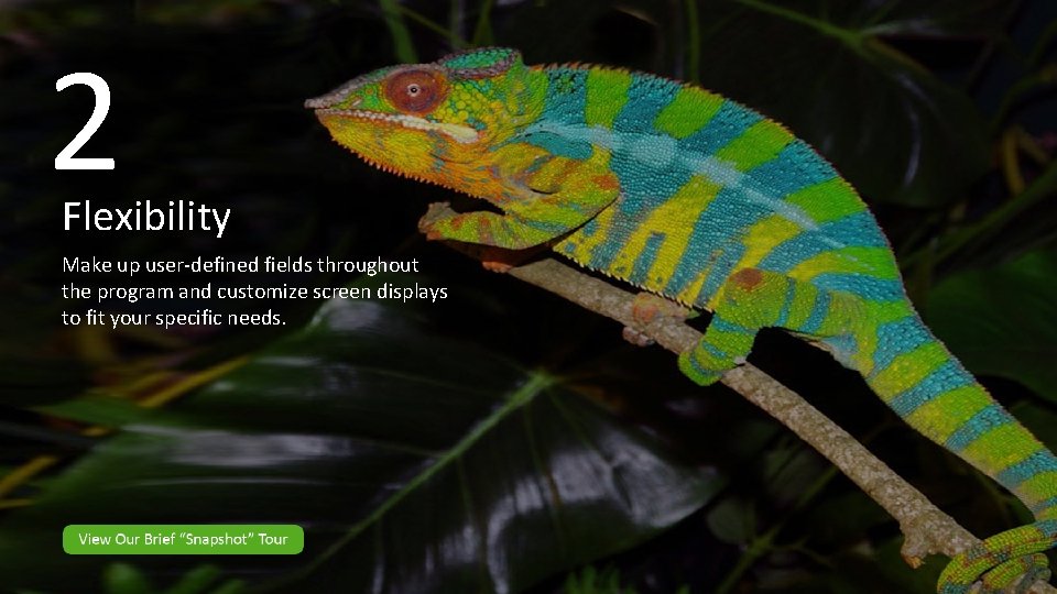 2 Flexibility Make up user-defined fields throughout the program and customize screen displays to