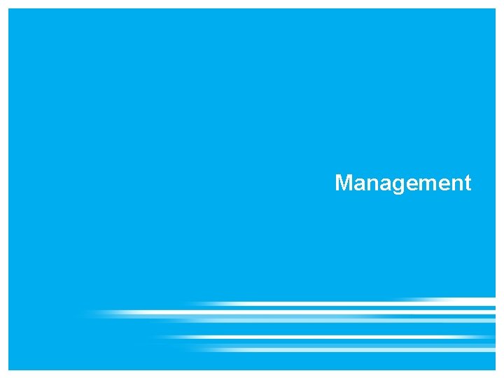 Management 