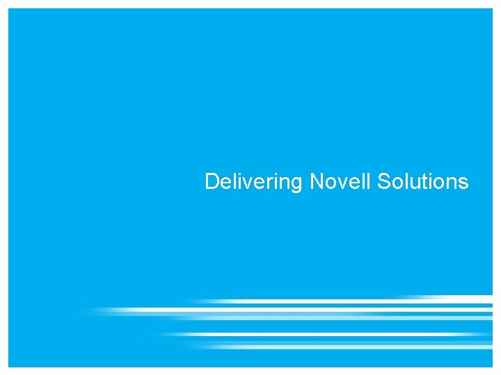 Delivering Novell Solutions 