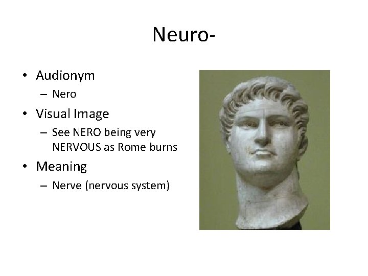 Neuro • Audionym – Nero • Visual Image – See NERO being very NERVOUS