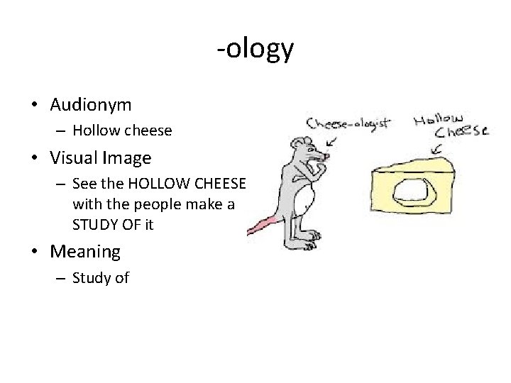 -ology • Audionym – Hollow cheese • Visual Image – See the HOLLOW CHEESE