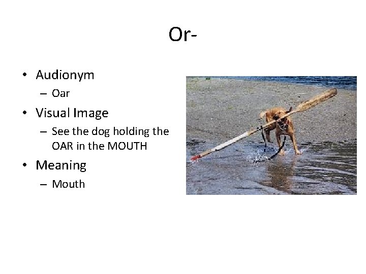 Or • Audionym – Oar • Visual Image – See the dog holding the