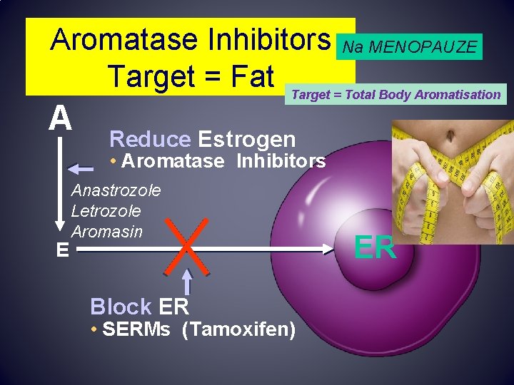 Aromatase Inhibitors Na MENOPAUZE Target = Fat Target = Total Body Aromatisation A Reduce Aromatase Inhibitors Na MENOPAUZE Target = Fat Target = Total Body Aromatisation A Reduce
