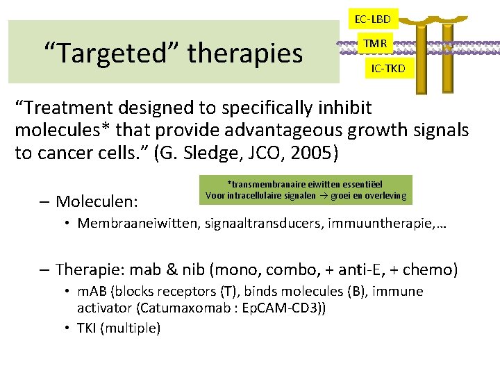 EC-LBD “Targeted” therapies TMR IC-TKD “Treatment designed to specifically inhibit molecules* that provide advantageous