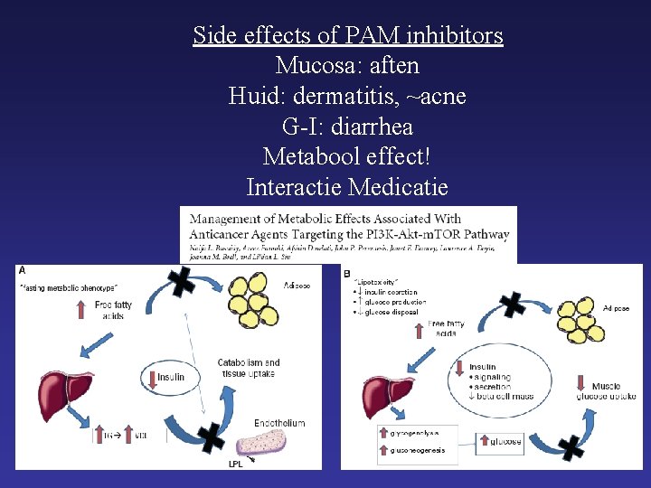 Side effects of PAM inhibitors Mucosa: aften Huid: dermatitis, ~acne G-I: diarrhea Metabool effect!