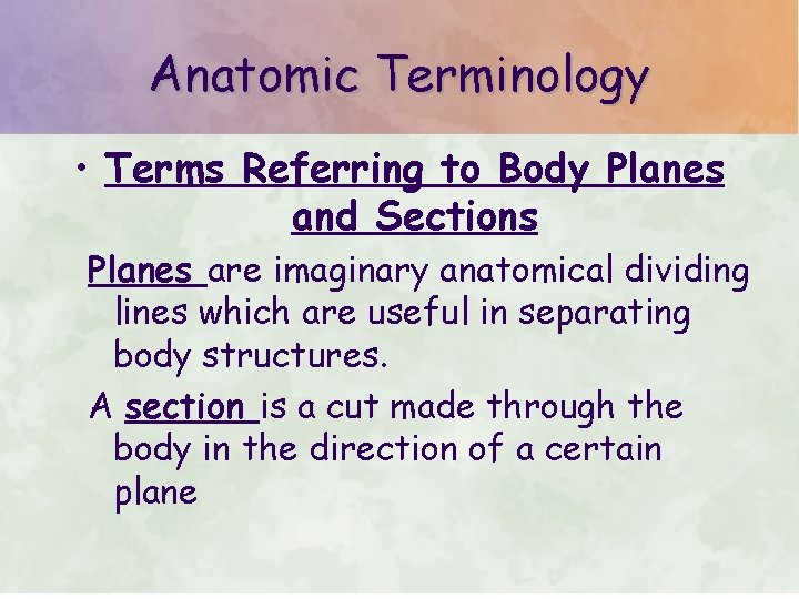 Anatomic Terminology • Terms Referring to Body Planes and Sections Planes are imaginary anatomical