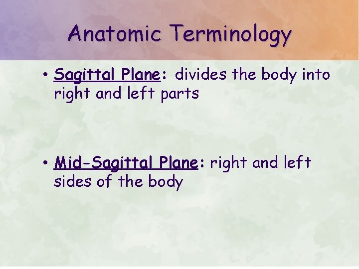 Anatomic Terminology • Sagittal Plane: divides the body into right and left parts •