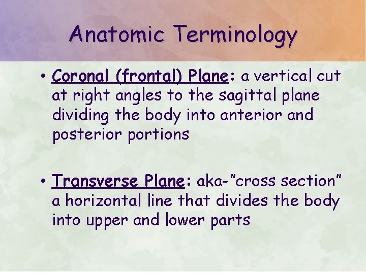 Anatomic Terminology • Coronal (frontal) Plane: a vertical cut at right angles to the