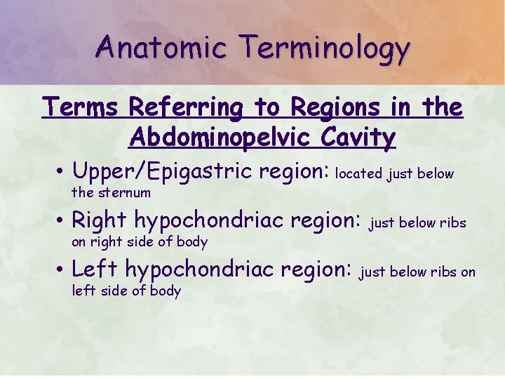 Anatomic Terminology Terms Referring to Regions in the Abdominopelvic Cavity • Upper/Epigastric region: located