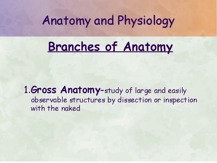 Anatomy and Physiology Branches of Anatomy 1. Gross Anatomy-study of large and easily observable