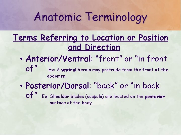 Anatomic Terminology Terms Referring to Location or Position and Direction • Anterior/Ventral: “front” or