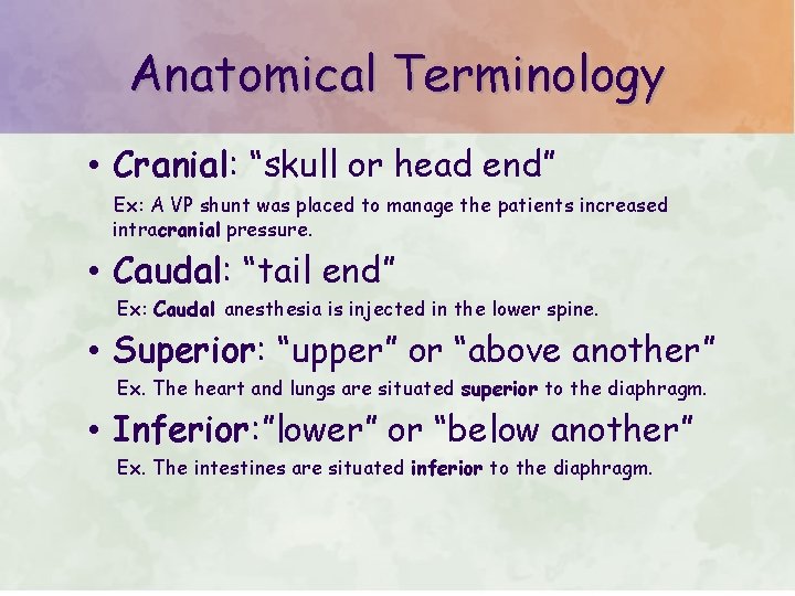 Anatomical Terminology • Cranial: “skull or head end” Ex: A VP shunt was placed