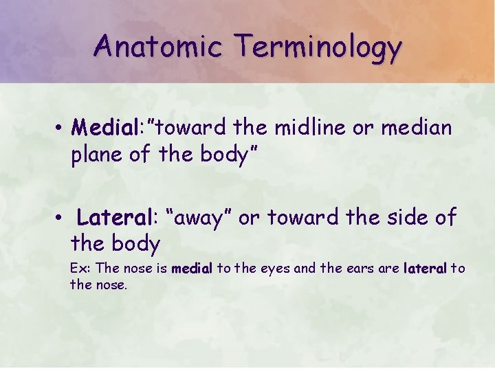 Anatomic Terminology • Medial: ”toward the midline or median plane of the body” •