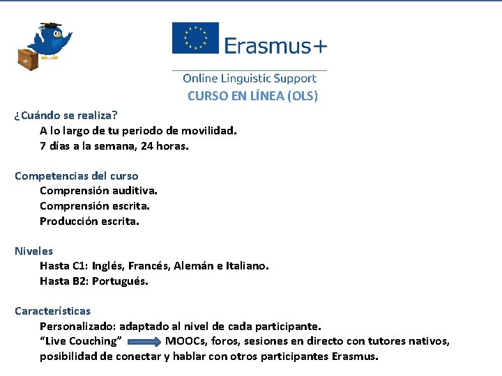 CURSO EN LÍNEA (OLS) ¿Cuándo se realiza? A lo largo de tu periodo de