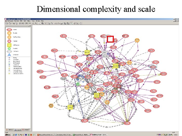 Dimensional complexity and scale 