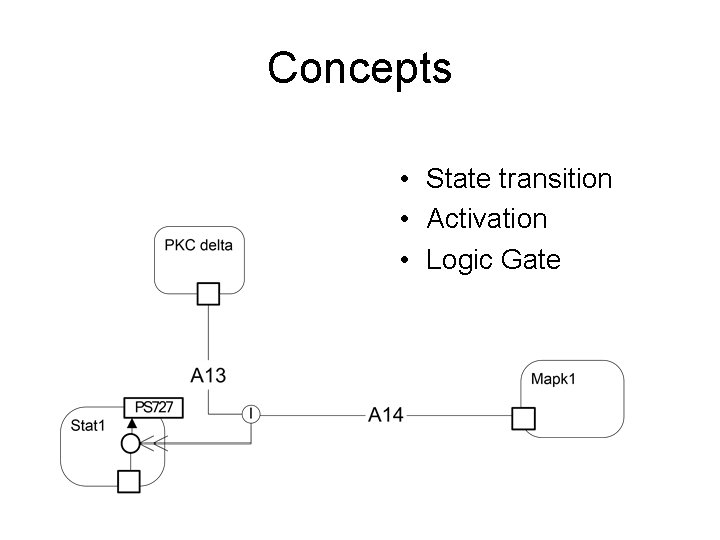 Concepts • State transition • Activation • Logic Gate 